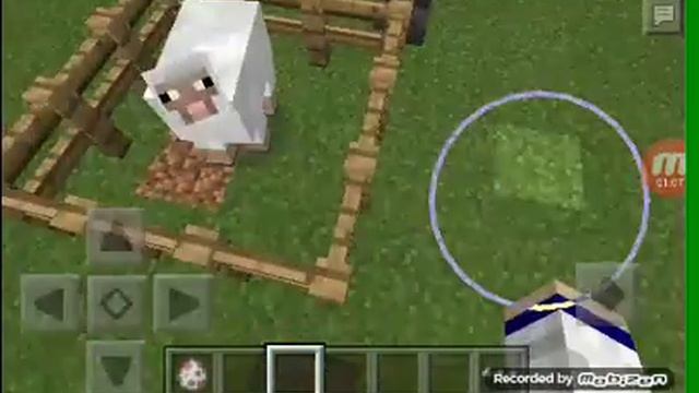 Разноцветная овца и чёрна белый кролик смотреть онлайн