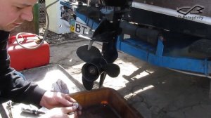 Расконсервация, ревизия помпы и термостата 4т ПЛМ Mercury EFI