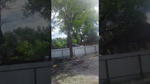 пестово новгородская область 2022 год