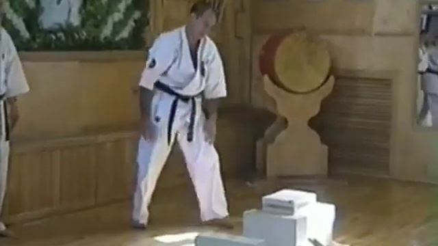 27.07.2000 год. Памятная тренировка ДР сосая Масутацу Оямы. Хабаровск. смотреть онлайн