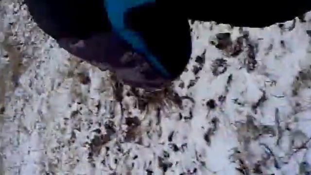 Люди в черно-белом "В поисках НЛО".mp4 смотреть онлайн