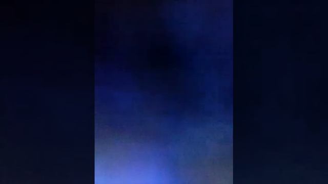 Голубая ящерица и желтая лягушка! смотреть онлайн