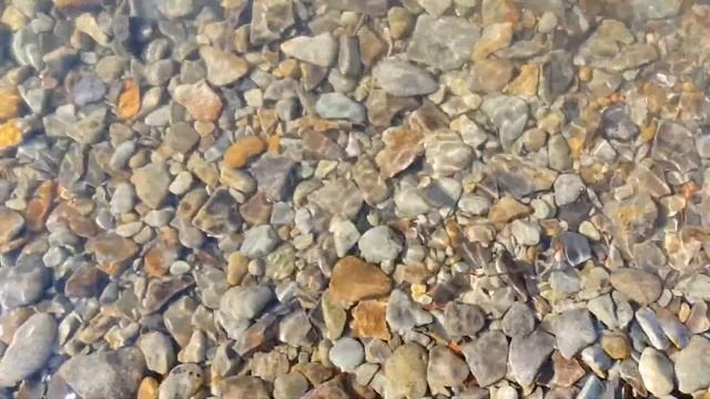 7 ИЮНЯ | 27 ЛУННЫЙ ДЕНЬ | СИМВОЛ ТРЕЗУБЕЦ | 2021 смотреть онлайн