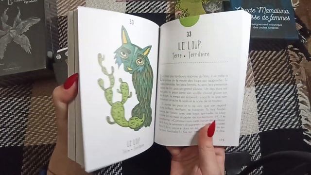 ?Експрес розпаковка нових оракулів і не тільки | ANKH | AliExpress #оракули #езотерика #ua смотреть онлайн