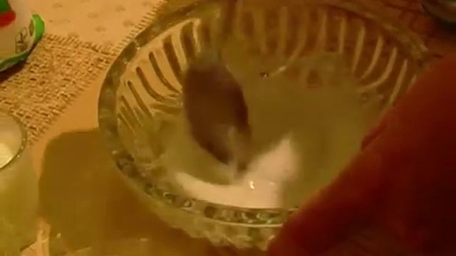 Маска из крахмала от морщин для увядающей кожи лица смотреть онлайн