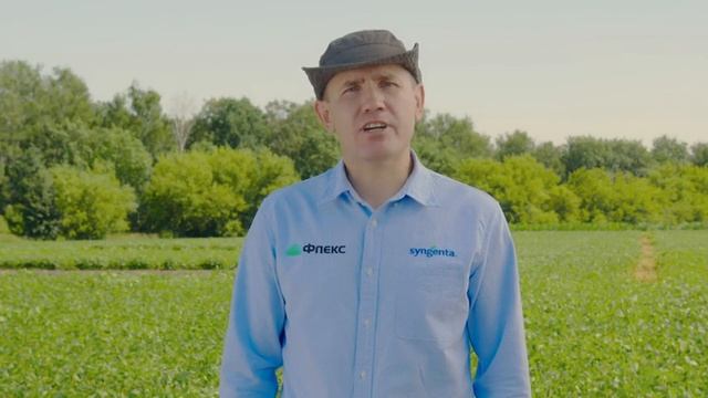 Гербицидные комбинации для защиты сои. Опыты в Липецкой области смотреть онлайн