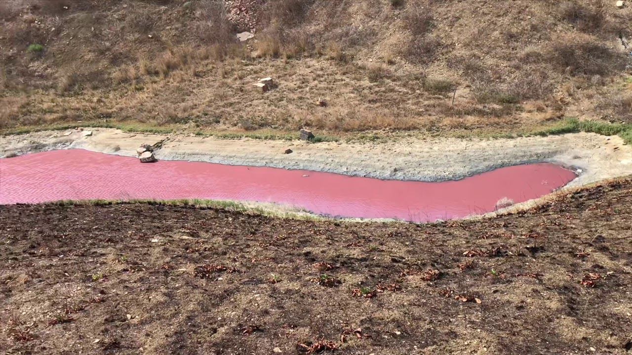 Веселовка, Чёрное море, нефтяной гейзер, соленое озеро и много интересного смотреть онлайн