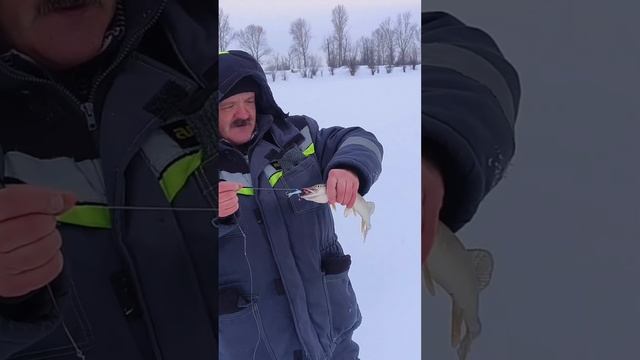 полное видео на канале: РОЖДЕСТВЕНСКАЯ РЫБАЛКА или ОТКРЫТИЕ 2024 ГОДА #shorts смотреть онлайн