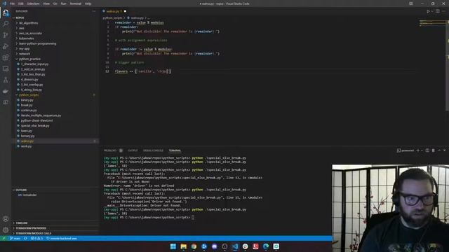 3.14 - Learn Python: Assignments vs Expressions and the Walrus Operator смотреть онлайн