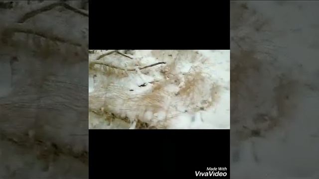 О валежнике без негатива. Или зачем я сделал колун на пружине. смотреть онлайн