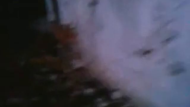 Лесные Истории 2 смотреть онлайн