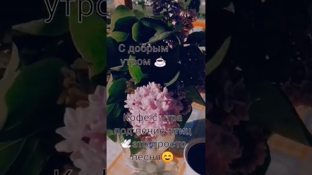 Кофе☕ и пение птиц🕊это просто песня☺ смотреть онлайн