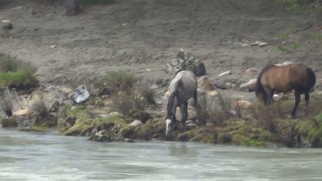Георгий Шлифер "Любовь во мне" смотреть онлайн
