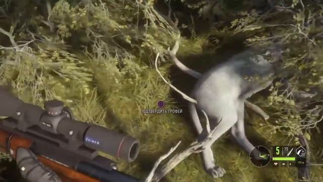 Самый крупный Пума Бриллиант 105кг|The Hunter Call of the Wild смотреть онлайн