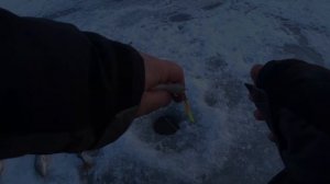 Супер рыбалка на Чудском озере зимой.Отличный клёв окуня на блесну.Super bite perch on Peipsi lake.