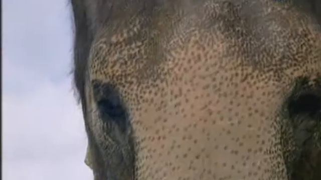 Больше чем жизнь (анонс, дтв) смотреть онлайн