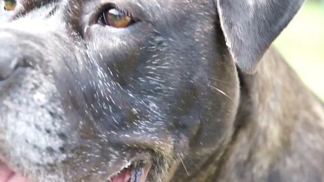 Sony A35 Sample HD Video - Abby смотреть онлайн