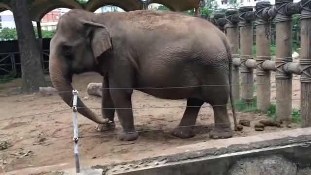 Мистер Макс Vs Мистер Петр Челленж отдых на море Вьетнам Муйне. Оцените кто лучше отдыхает