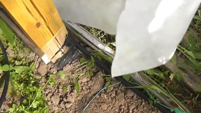 Капельный полив Жук, обзор и установка