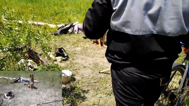 СЕКРЕТНЫЙ УЗЕЛ КАРАСЯ,СУПЕР КЛЕВ НА 10 ГРАМОВЫЙ ПОПЛАВОК | НАШЕЛ КАРАСИНОЕ СТОЙЛО смотреть онлайн