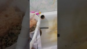 самодельный внешний фильтр для аквариума