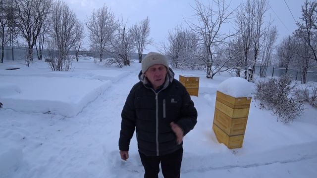 ТРИ ГЛАВНЫЕ ПРИЧИНЫ ГИБЕЛИ ПЧЁЛ ЗИМОЙ смотреть онлайн