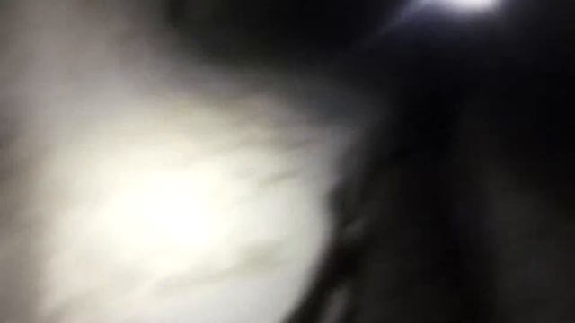 Dyatlov Pass, last day смотреть онлайн