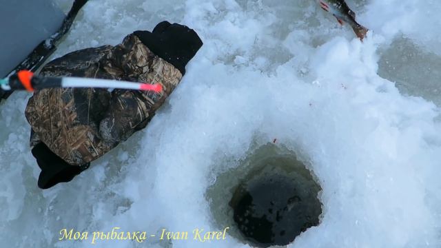 Рыбалка , Съёмки подо льдом , Окушки ЧАСТЬ # 2 ❄ Fishing , Shooting under the ice , Okoshki PART # смотреть онлайн