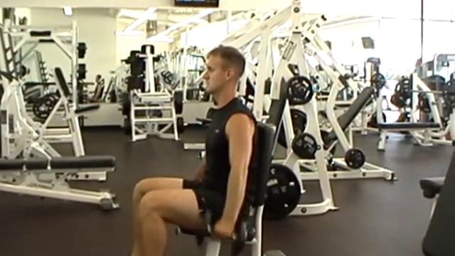 Seated Dumbbell Lateral Raise смотреть онлайн