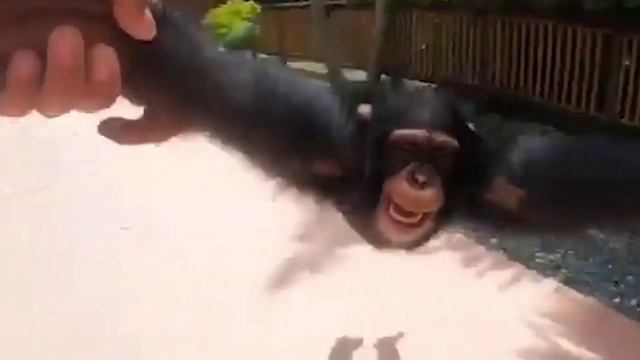 Life Could Be A Dream