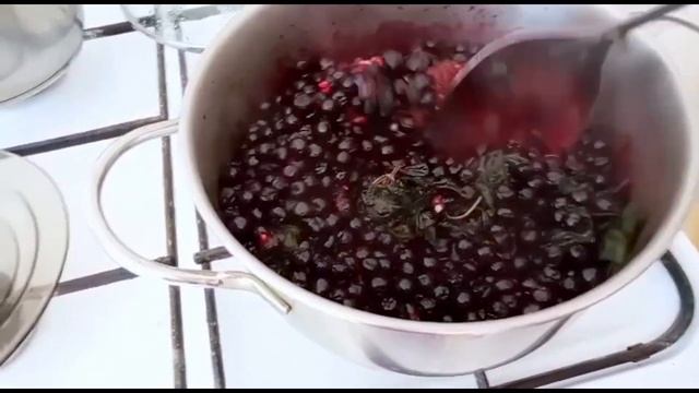 Дары дикой природы плюс рецепты смотреть онлайн