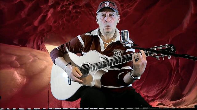 JE VAIS T'AIMER Michel Sardou Chant Guitare TAYLOR 614ce n 2014 electro acoustique Folk nylon Impro смотреть онлайн