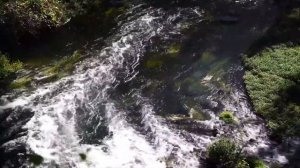 Юлия Чернышова "Мир для тебя"