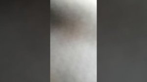 Первый выход с Nokta Makro Simplex Plus 26.03.2021