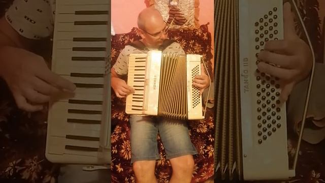 Proba Hohner Tango 2B cu 80 Basi смотреть онлайн