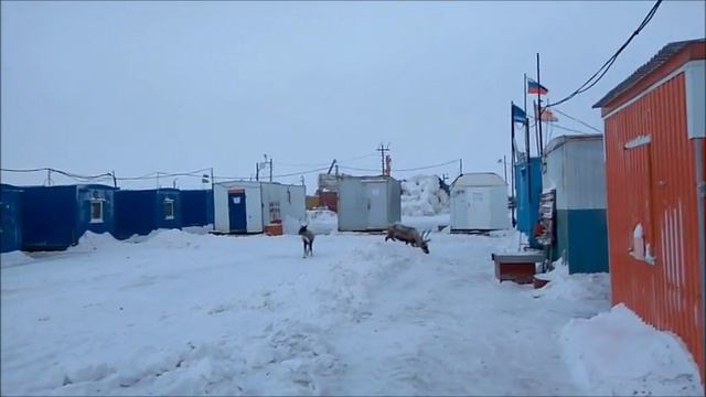 Белые дороги смотреть онлайн