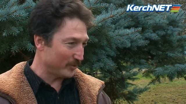 Собака с добрым сердцем и грустными глазами-сенбернар. смотреть онлайн