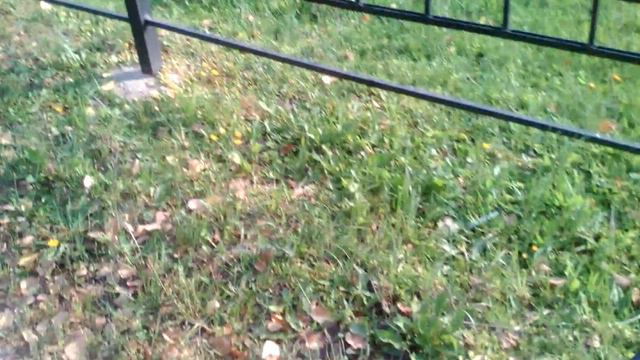 Можайский Лужецкий Ферапонтов монастырь, Можайск (29.07.2017 08:13) смотреть онлайн