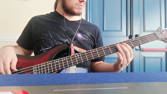 MGMT - When You Die (Bass Cover) смотреть онлайн