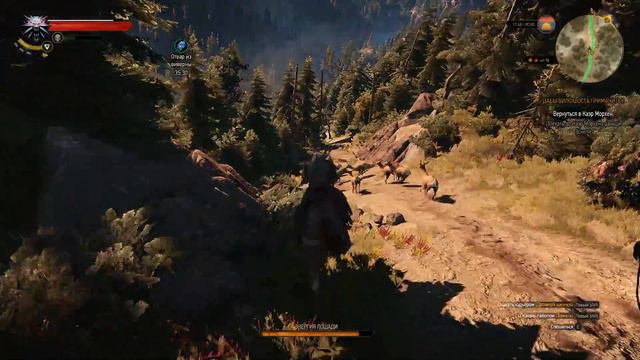 The Witcher 3 - Вперёд, Плотва! смотреть онлайн