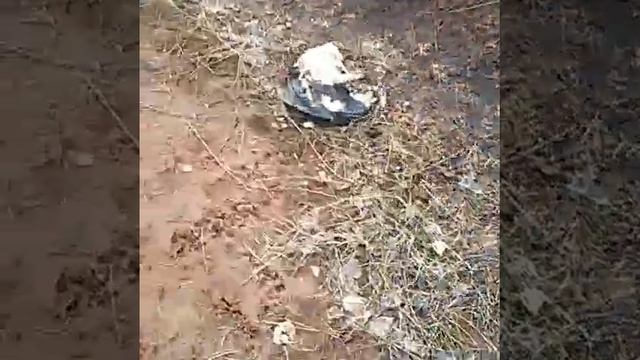 Заброшенное здание в Челнах. смотреть онлайн