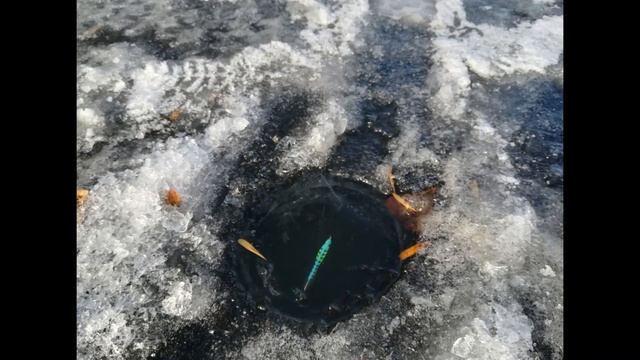 Зимняя рыбалка. Средняя Ахтуба. Волгоградская область. смотреть онлайн