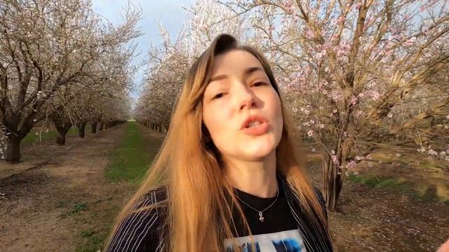 Как переехать в Америке? Всё достало!!! Переезжаем? смотреть онлайн