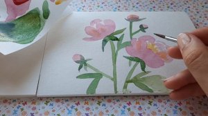 Акварель для начинающих.  Как нарисовать ЦВЕТЫ ПИОНЫ поэтапно