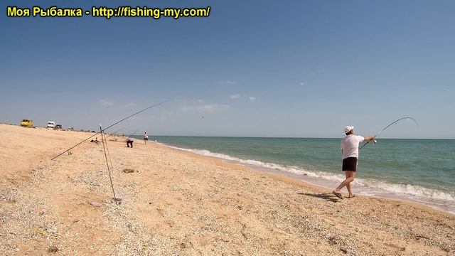 Ловля пеленгаса 2020 на Арабатской стрелке