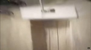 Как на самом деле выглядят рептилоиды