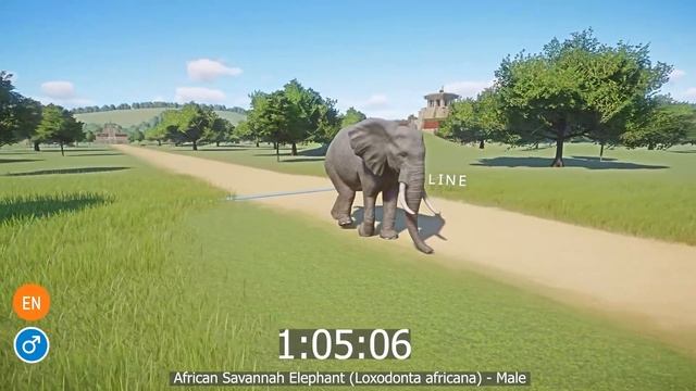 Aquatic Animals Speed Races all males in Planet Zoo included Sea Lion, Elephant Otter, Hippo смотреть онлайн