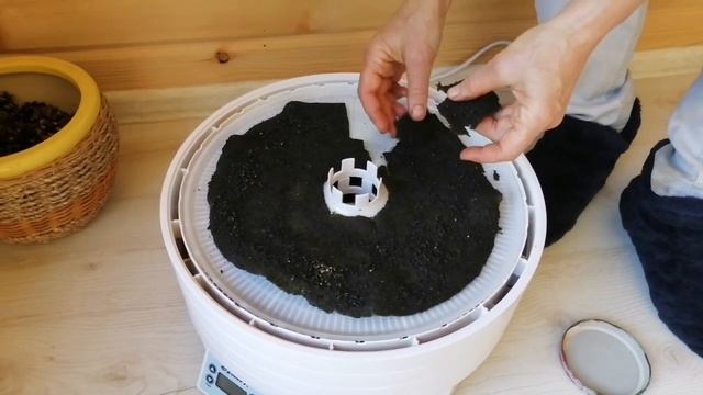 Рецепты Десертов