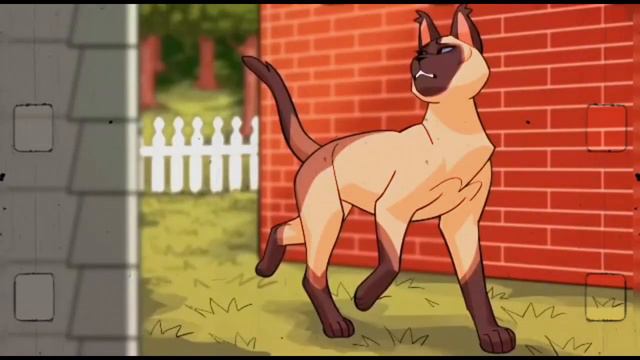 Warriors Cats \ Sweet Dreams смотреть онлайн