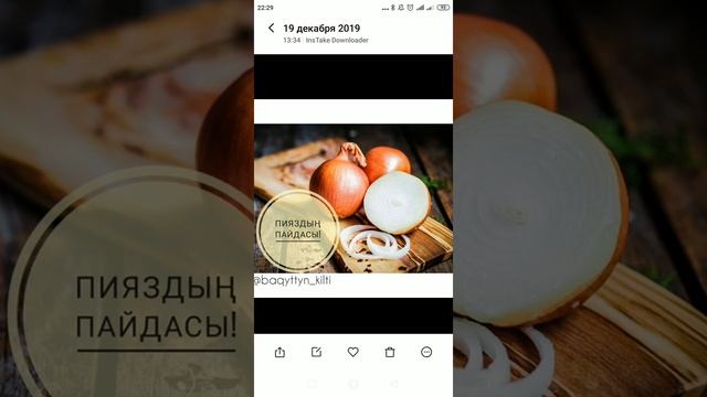 Полезные свойства лука смотреть онлайн